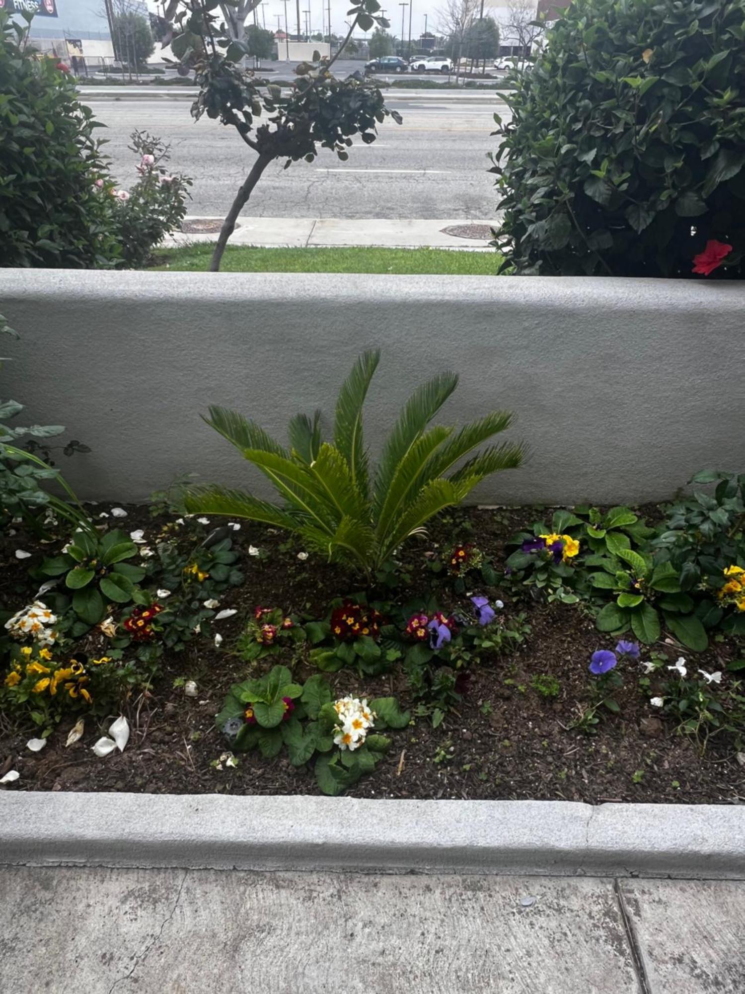 El Segundo Inn Hawthorne Eksteriør billede
